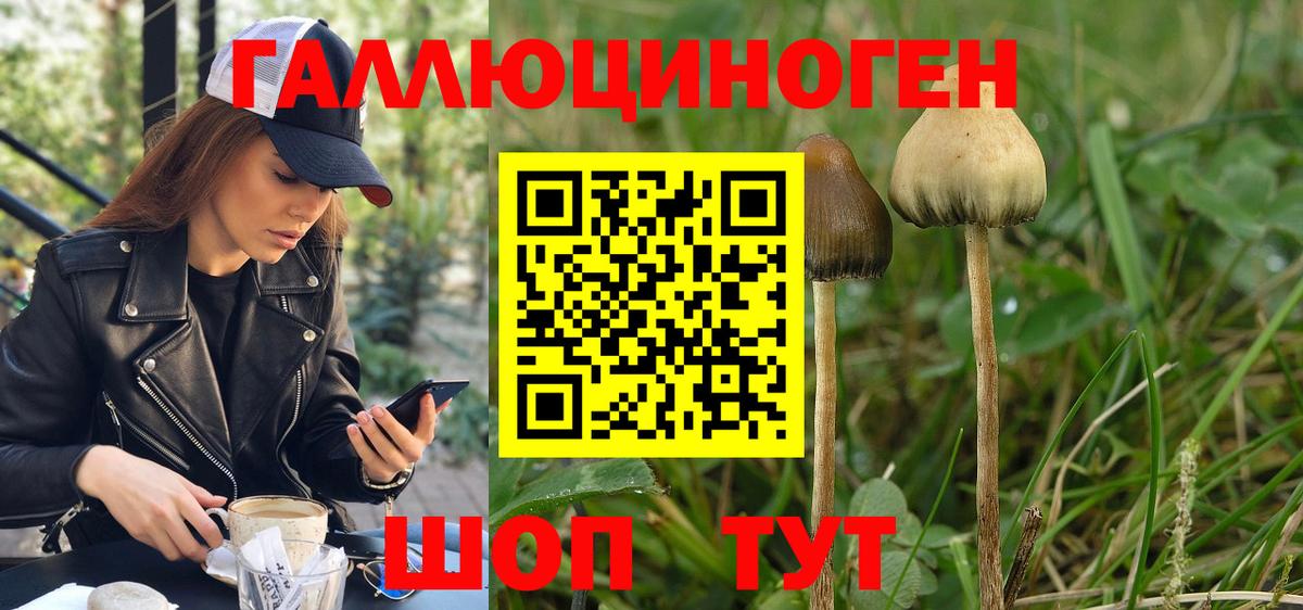 Галлюциногенные грибы прущие грибы  Вход с VPN  Сыктывкар  наркота  Галлюциногенные грибы MAGIC MUSHROOMS 